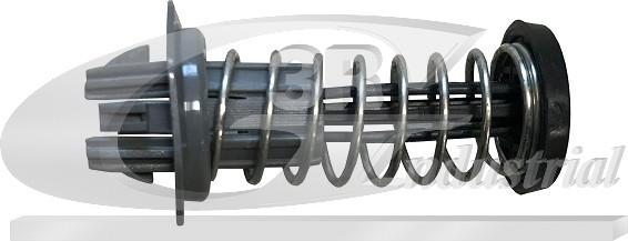 3RG 80587 - Газова пружина, кришка капота work.proartstudio.com.ua