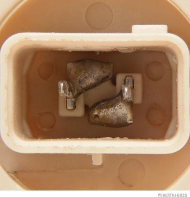 Herth+Buss Elparts 89901424 - Лампа розжарювання, вказівник повороту work.proartstudio.com.ua